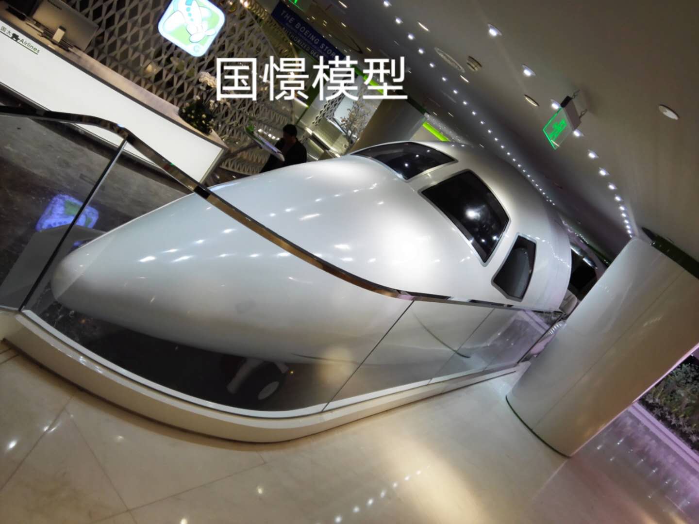 饶阳县大型仿真模型道具